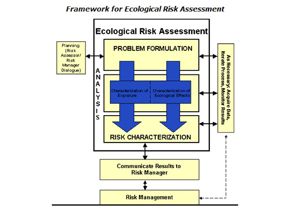 Ecological Risk Assessment Framework